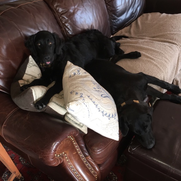 Meet your Posher, Kirsten - Picture 2 of 6